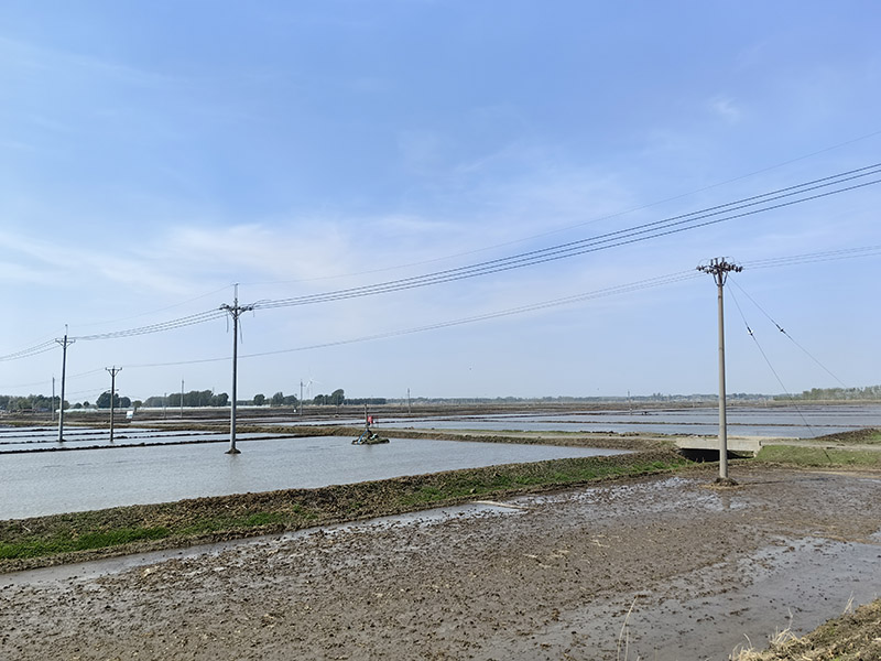 种植基地自然风光